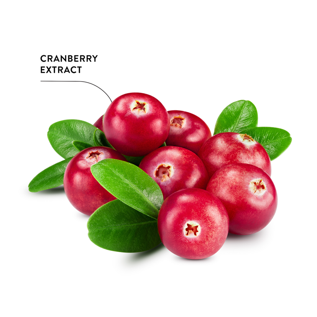 ECODENTA-Refreshing-Tandpasta-met-Cranberry-5